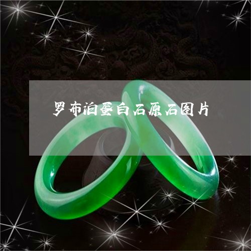 罗布泊蛋白石原石图片