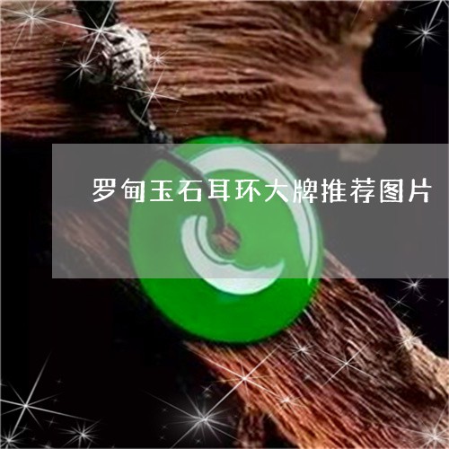 罗甸玉石耳环大牌推荐图片/2023071167392