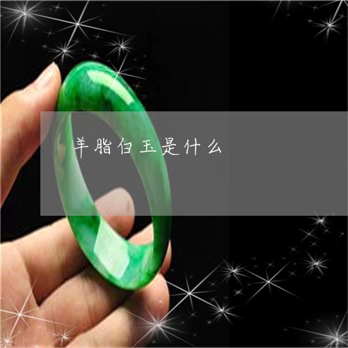 羊脂白玉是什么/2023032715938 羊脂白玉是什么/2023032715938
