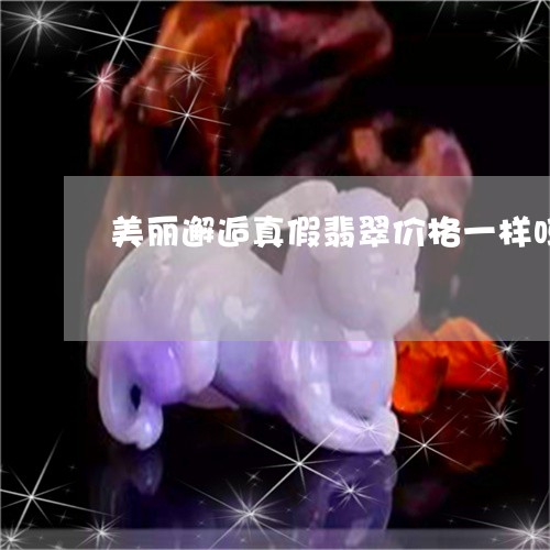 美丽邂逅真假翡翠价格一样吗/2023071261606