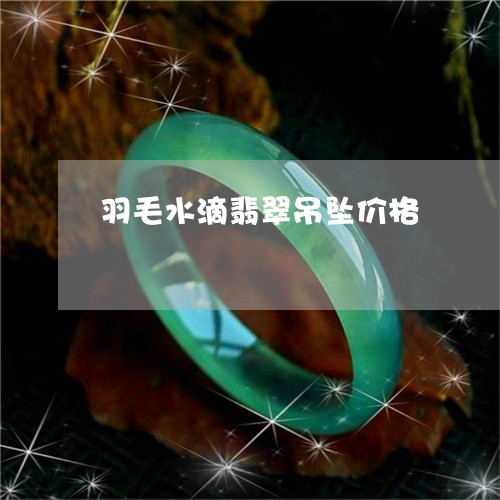 羽毛水滴翡翠吊坠价格/2023061549272