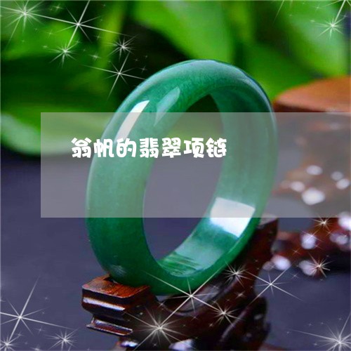 翁帆的翡翠项链/2023032757148