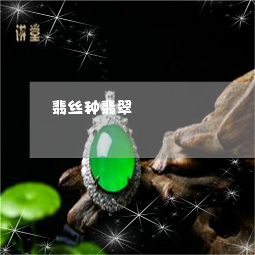 翡丝种翡翠/2023071452937