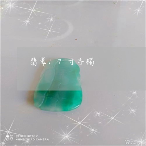 翡翠17寸手镯/2023032760260