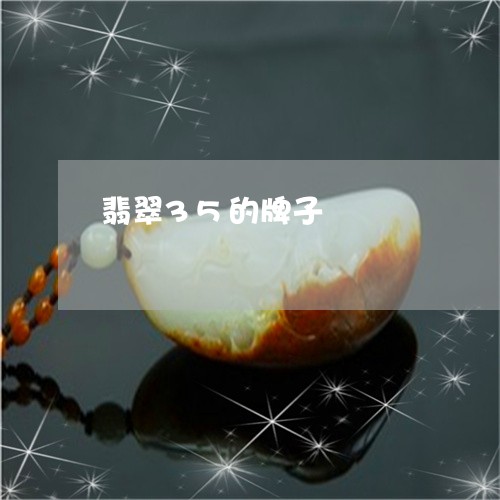 翡翠35的牌子/2023032761515
