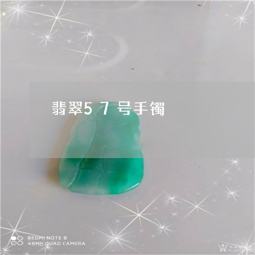 翡翠57号手镯/2023032782704