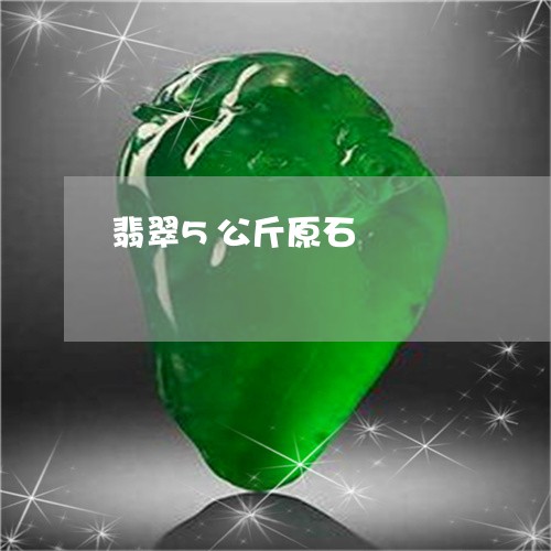 翡翠5公斤原石/2023032738381 翡翠5公斤原石/2023032738381