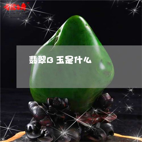 翡翠B玉是什么/2023032707159