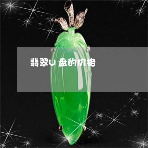 翡翠U盘的价格/2023032712726