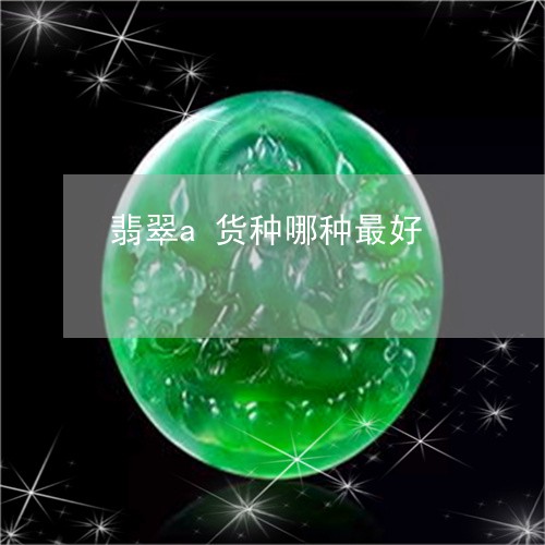翡翠a货种哪种最好/2023040959270