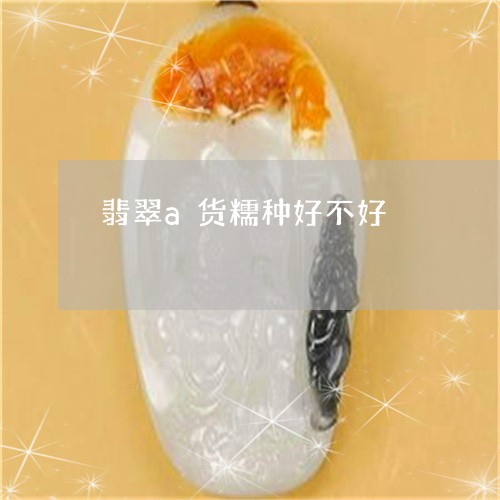 翡翠a货糯种好不好/2023040906127