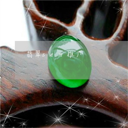 翡翠sem推广/2023032705158 翡翠sem推广/2023032705158