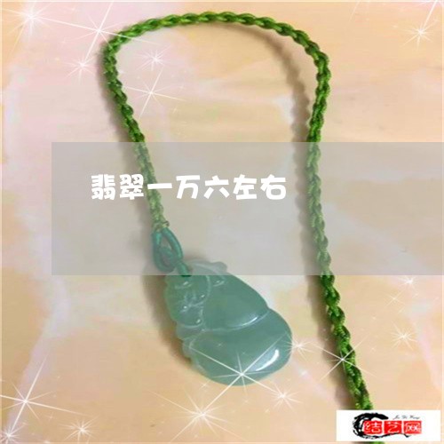 翡翠一万六左右/2023032736049 翡翠一万六左右/2023032736049