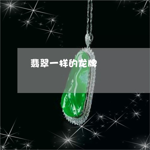 翡翠一样的龙牌/2023032718593 翡翠一样的龙牌/2023032718593