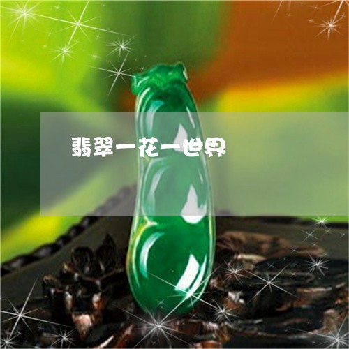 翡翠一花一世界/2023032701724