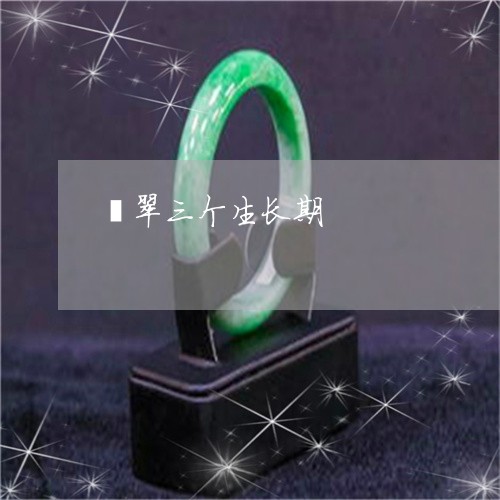 翡翠三个生长期/2023032705727 翡翠三个生长期/2023032705727