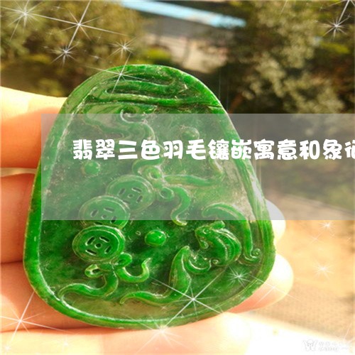 翡翠三色羽毛镶嵌寓意和象征/2023063027261