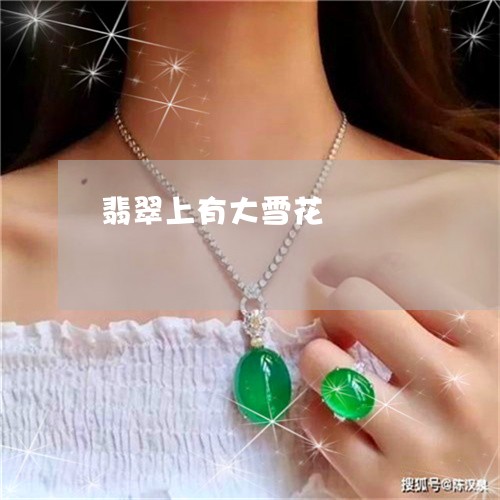 翡翠上有大雪花/2023032804826