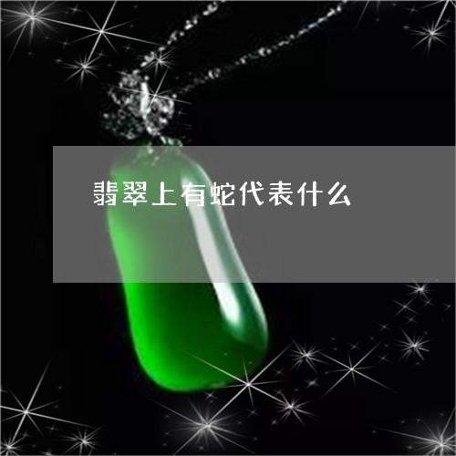 翡翠上有蛇代表什么/2023040982814 翡翠上有蛇代表什么/2023040982814