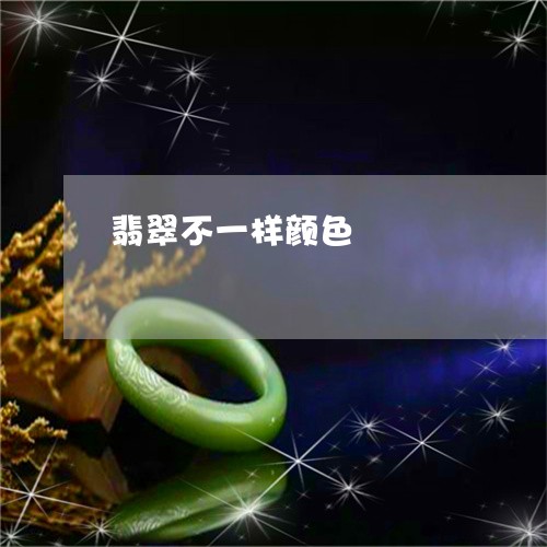 翡翠不一样颜色/2023032856058 翡翠不一样颜色/2023032856058
