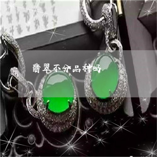 翡翠不分品种吗/2023032871703 翡翠不分品种吗/2023032871703