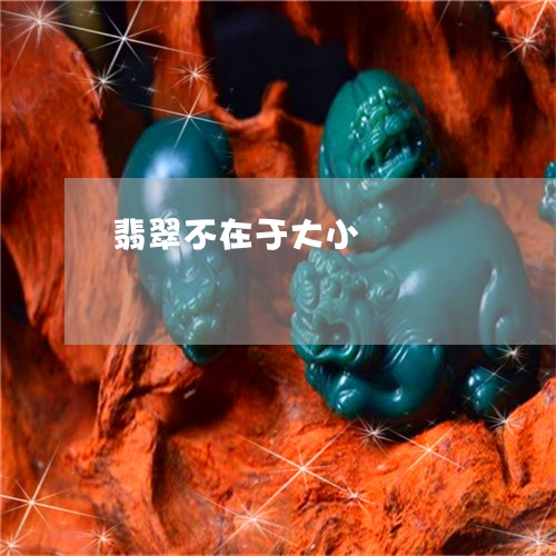 翡翠不在于大小/2023032895647 翡翠不在于大小/2023032895647