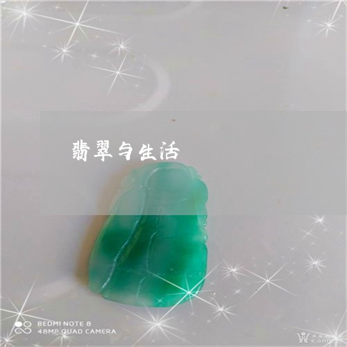 翡翠与生活/2023071454894