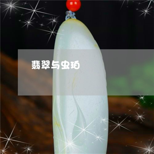 翡翠与虫珀/2023071439280