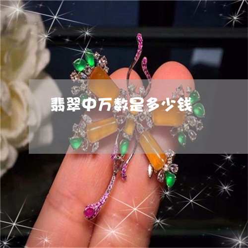 翡翠中万数是多少钱/2023040930361 翡翠中万数是多少钱/2023040930361