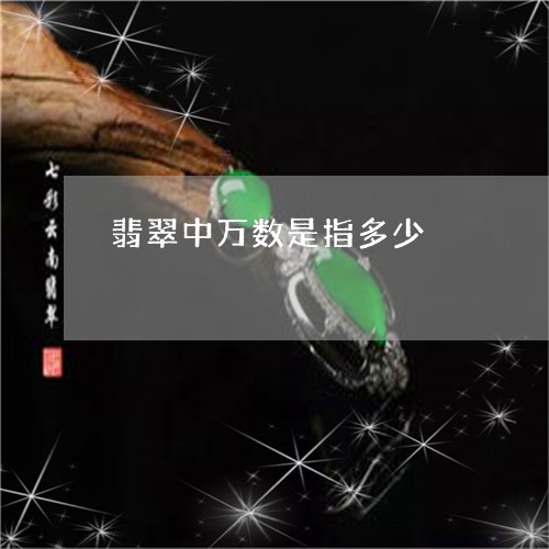 翡翠中万数是指多少/2023040988250 翡翠中万数是指多少/2023040988250