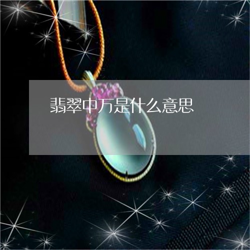 翡翠中万是什么意思/2023040901526 翡翠中万是什么意思/2023040901526