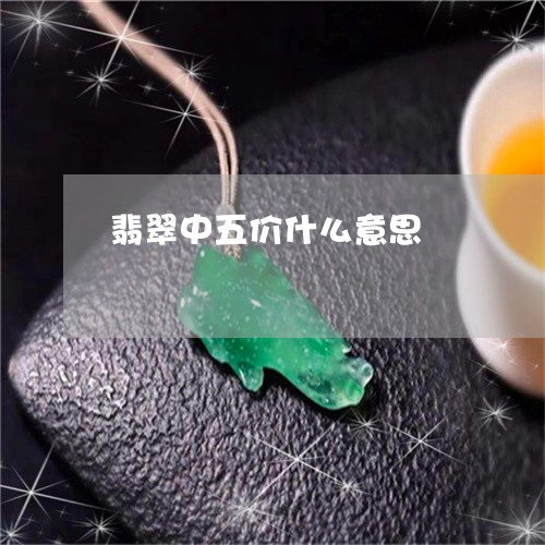 翡翠中五价什么意思/2023040953705