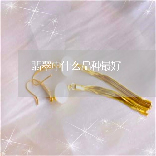 翡翠中什么品种最好/2023040949482