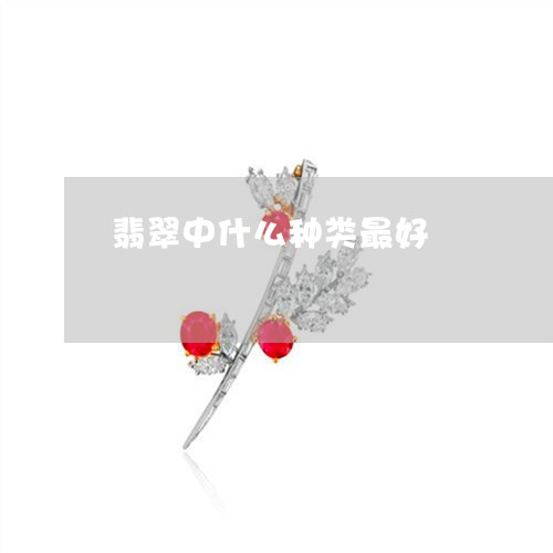 翡翠中什么种类最好/2023040905149