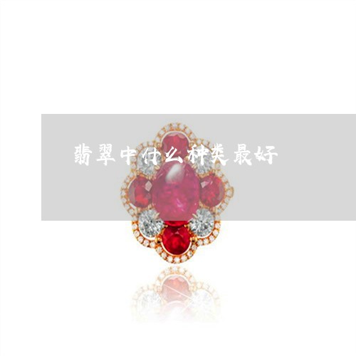 翡翠中什么种类最好/2023040963706