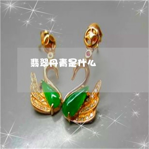 翡翠丹青是什么/2023032807178 翡翠丹青是什么/2023032807178