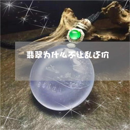 翡翠为什么不让乱还价/2023021065847