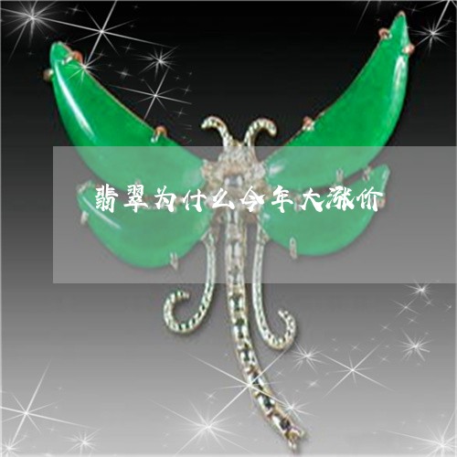 翡翠为什么今年大涨价/2023021038381