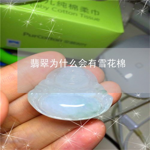 翡翠为什么会有雪花棉/2023021084041 翡翠为什么会有雪花棉/2023021084041
