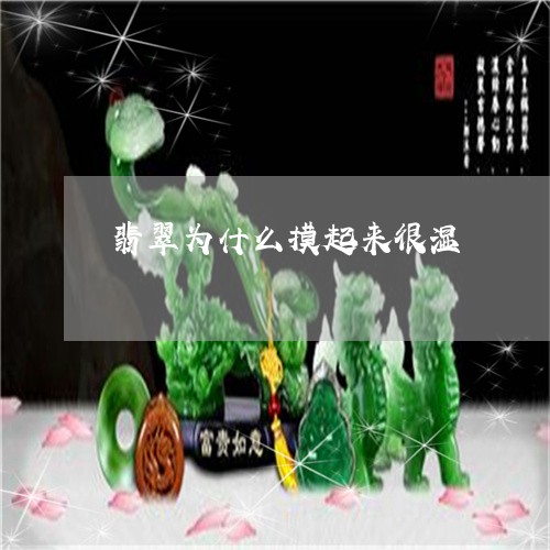 翡翠为什么摸起来很湿/2023021038481