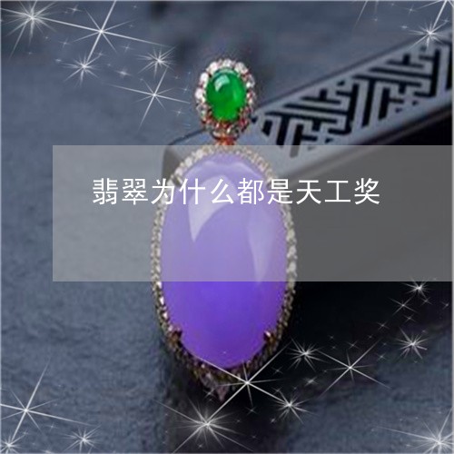 翡翠为什么都是天工奖
