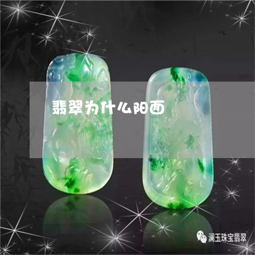 翡翠为什么阳面/2023032875149