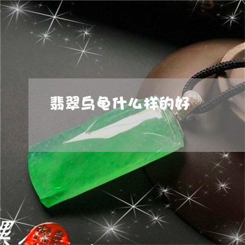 翡翠乌龟什么样的好/2023040940480 翡翠乌龟什么样的好/2023040940480