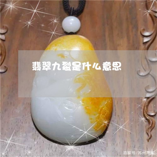 翡翠九裂是什么意思/2023040974935