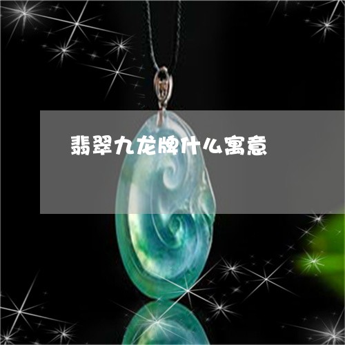 翡翠九龙牌什么寓意/2023040995248