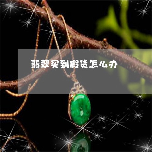 翡翠买到假货怎么办/2023040954716 翡翠买到假货怎么办/2023040954716