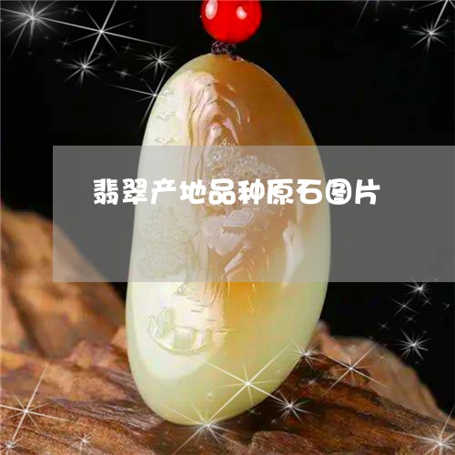 翡翠产地品种原石图片