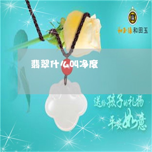 翡翠什么叫净度/2023032871691