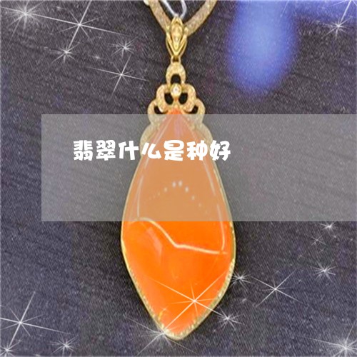 翡翠什么是种好/2023032897151 翡翠什么是种好/2023032897151