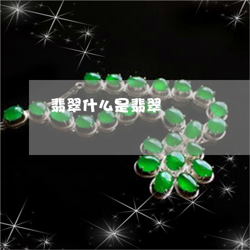翡翠什么是翡翠/2023032869173 翡翠什么是翡翠/2023032869173